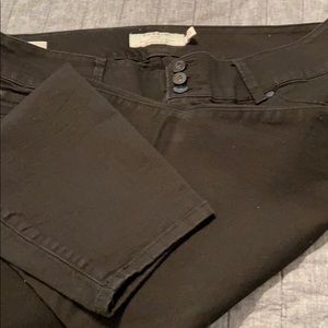 Torrid Black Jeggings